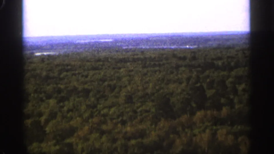 1965 8mm view over a dense green forest near Duluth, with a pale sky and distant horizon beyond the treetops.