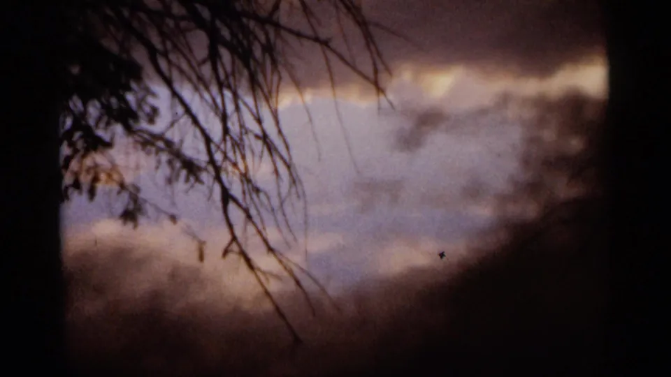 1965 Duluth 8mm frame with silhouetted branches, dark foliage, and a brief lightning glow in a cloudy sky.