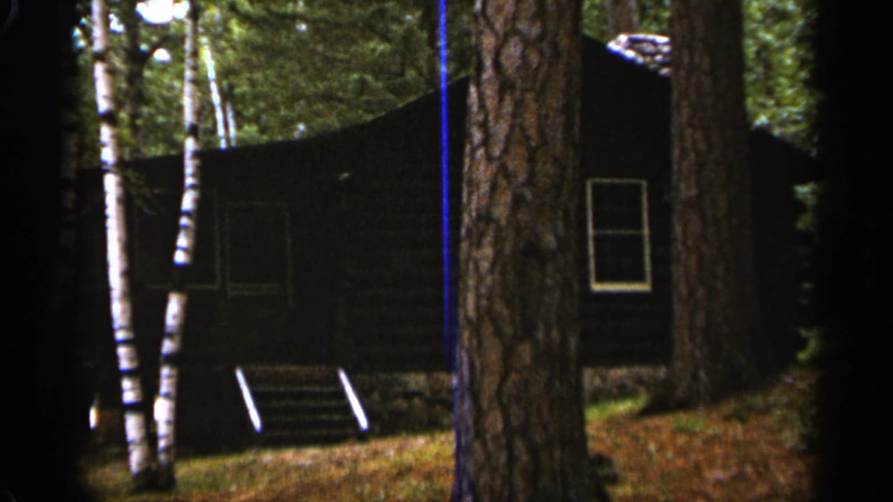 Dark wood cabin partly hidden by birch and pine trees in a wooded setting.