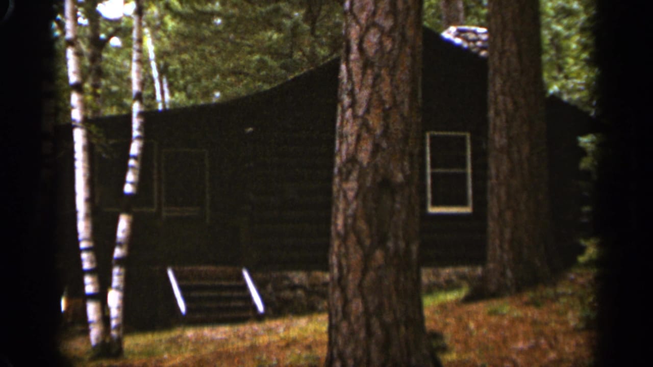 Cabin wall and front steps seen through trees, with no person visible in this frame.