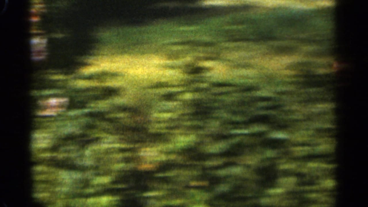 Blurred green lawn and foliage during a handheld camera move.