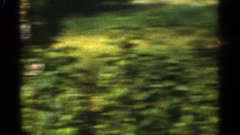 Motion-blurred 1965 Duluth garden view with green ground cover and darker foliage from a handheld 8mm camera move.