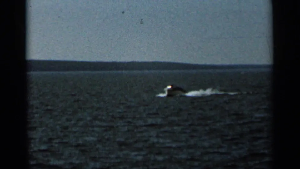 1965 Duluth 8mm frame showing a distant speedboat crossing open water with a white wake and low wooded horizon.