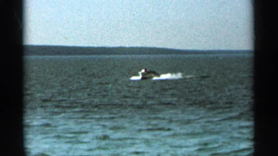 1965 Duluth home-movie frame of a speedboat moving across rippled open water under a pale sky and distant shoreline.