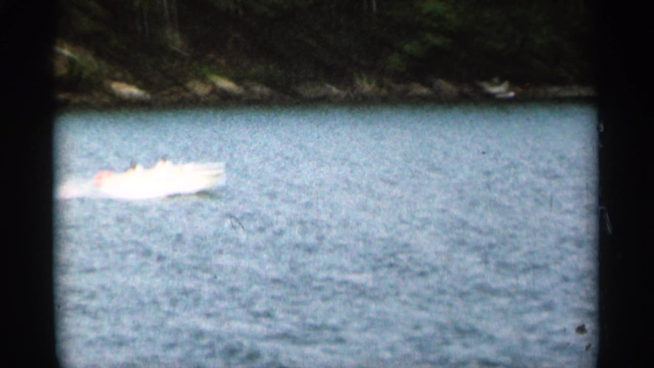 Bright speedboat passing near a wooded shoreline across rippled water.