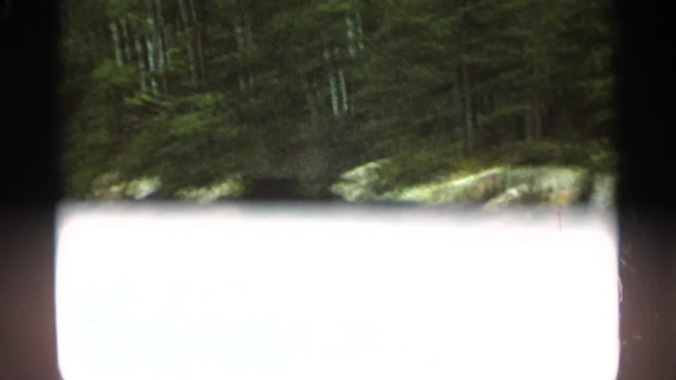1965 Duluth home-movie frame with blown-out water foreground, shoreline rocks, and dense trees along the bank.