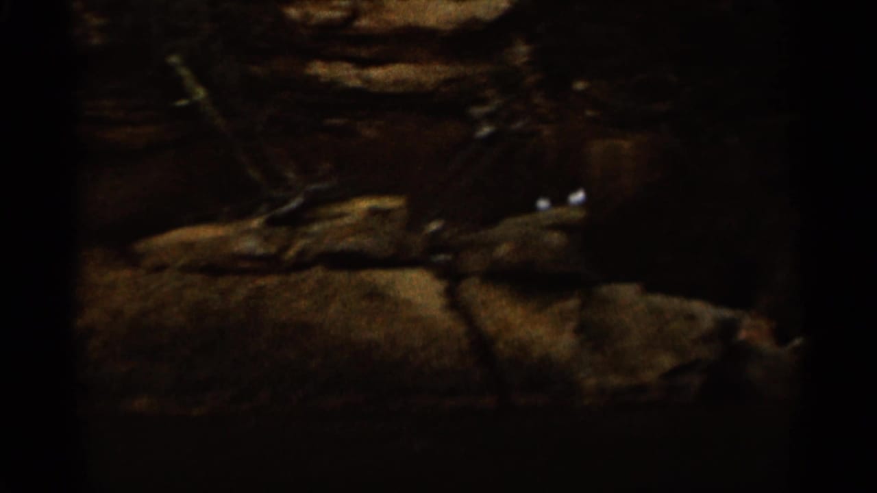 Dark rocky shoreline beside water with heavy film grain and shadowed edges.
