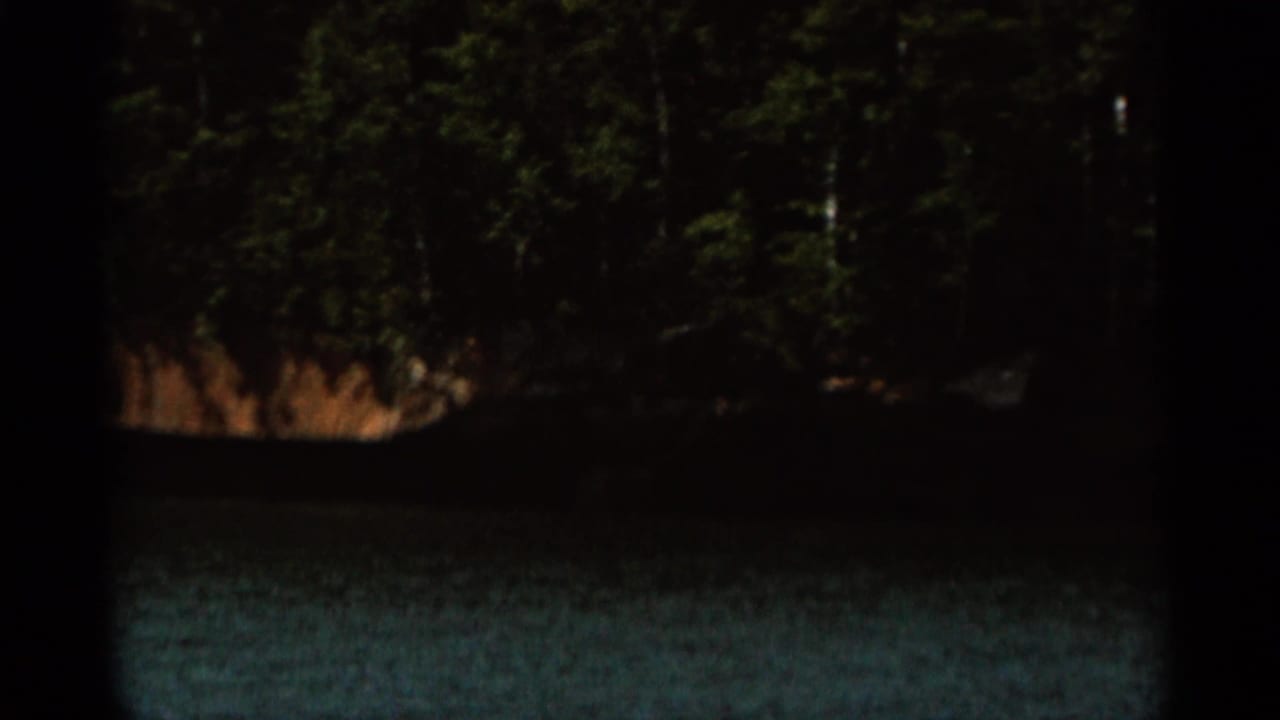 Forested shoreline across turquoise lake water with dark scan borders.