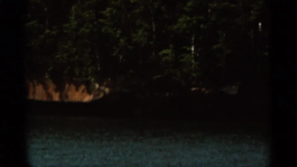 1965 Duluth-area lake view with turquoise water in the foreground and a dense tree line along the opposite shore.