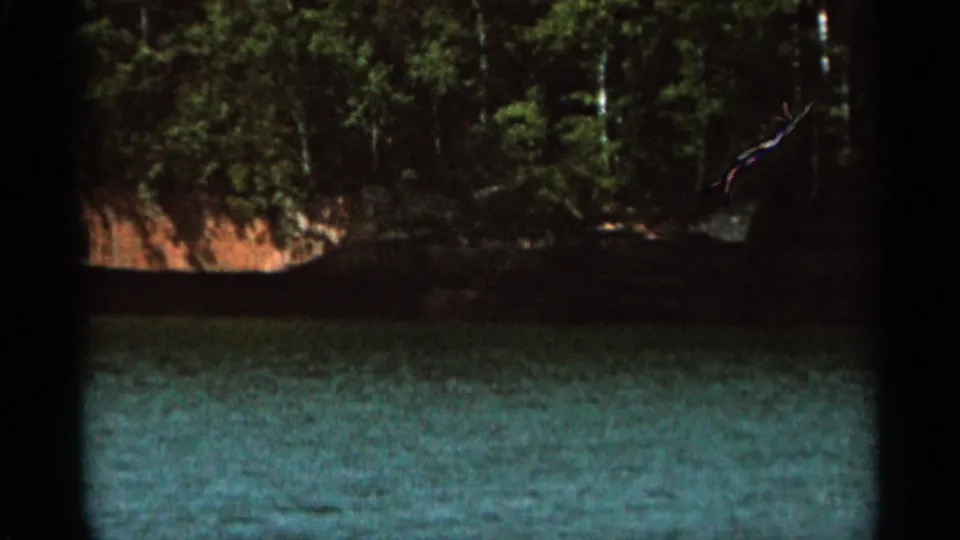 1965 Duluth-area 8mm frame showing calm blue-green lake water below a dense forested shoreline during a handheld pan.
