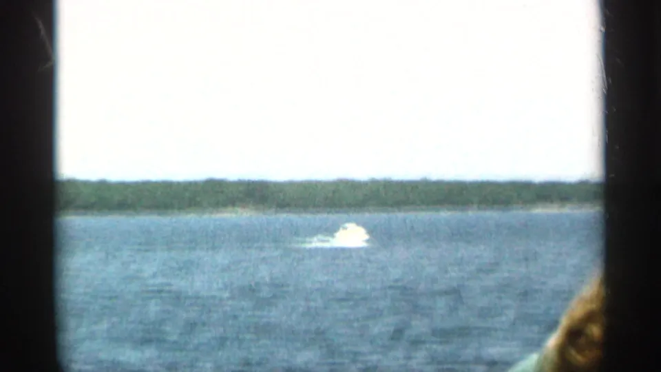 1965 Duluth-area lake scene with a small distant white motorboat or wake crossing open water under an overexposed sky.