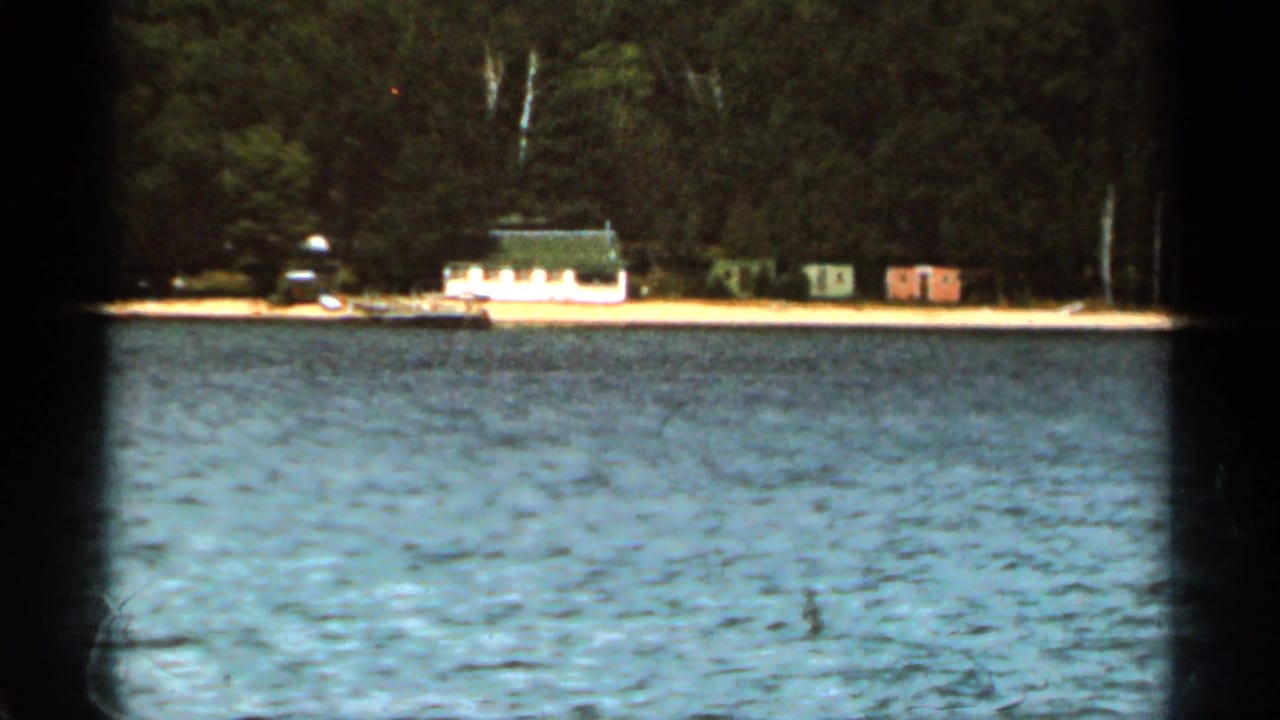 Lake water facing a wooded shoreline with small cabins and a dock.