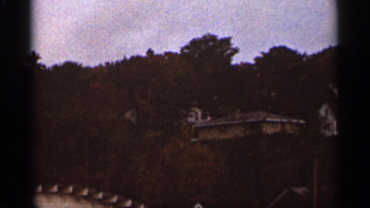 Distant rooftops and dark treetops under a pale overcast sky.