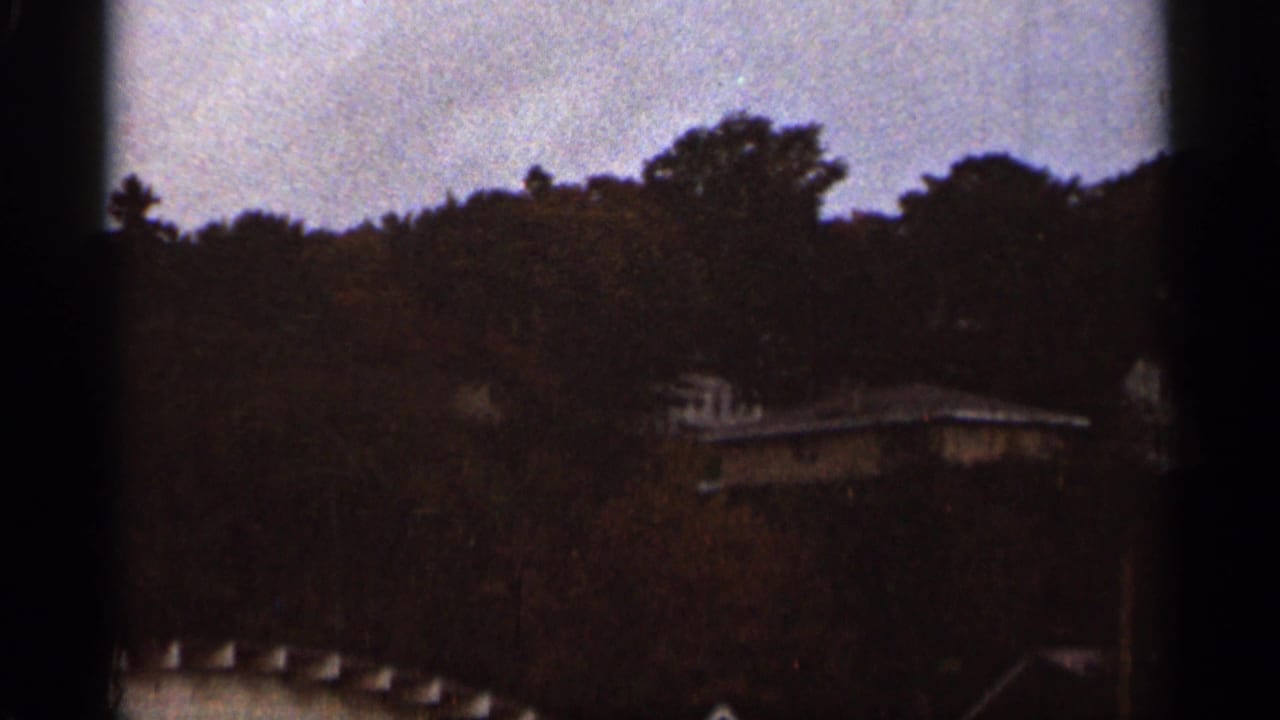 Similar distant view of treetops and rooftops in soft focus.