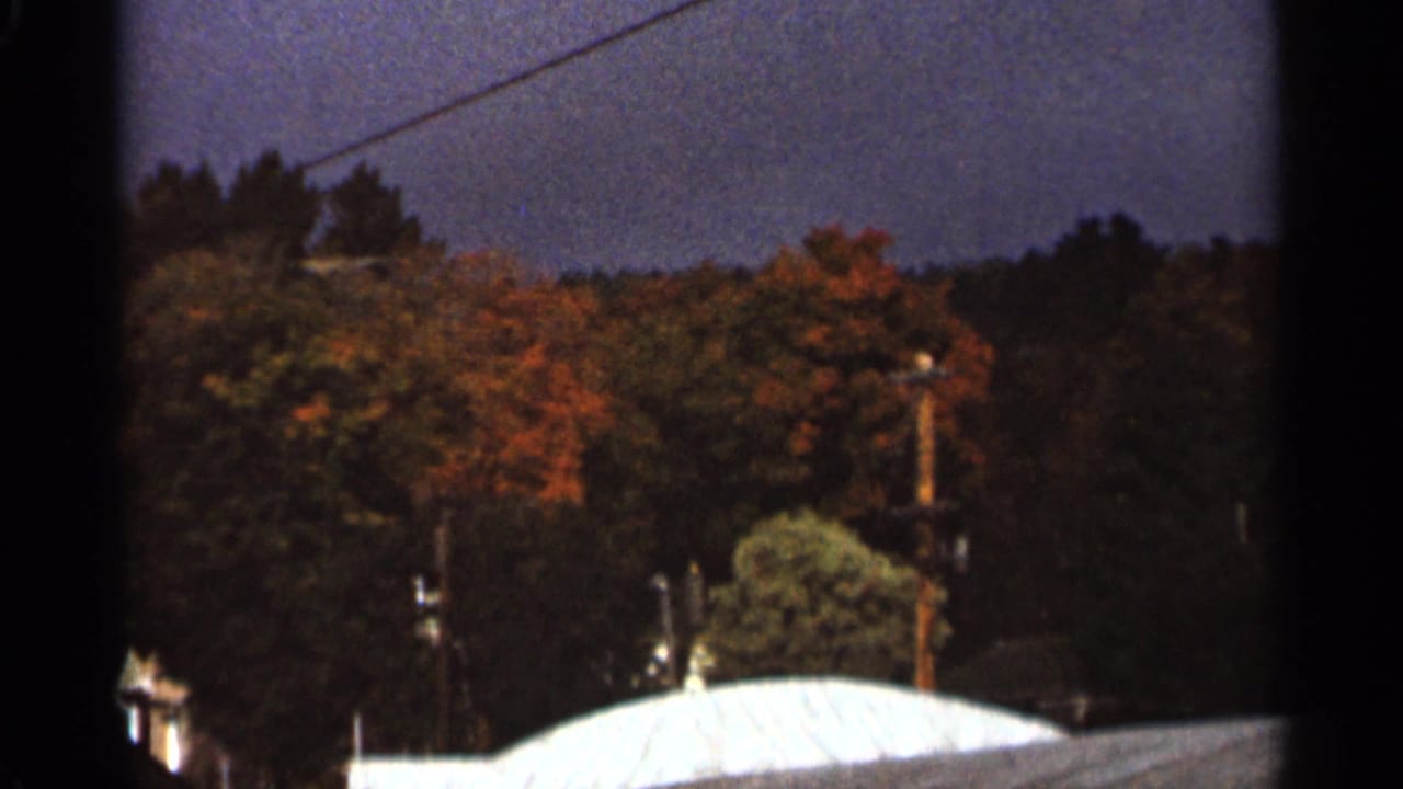 Dark sky over autumn trees with a light roofline at the bottom of the frame.