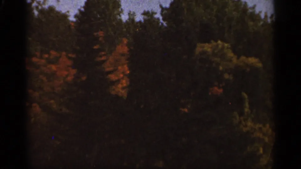 1965 8mm frame of dense autumn trees near the Madeline Island travel scene, with orange leaves and dark green foliage.