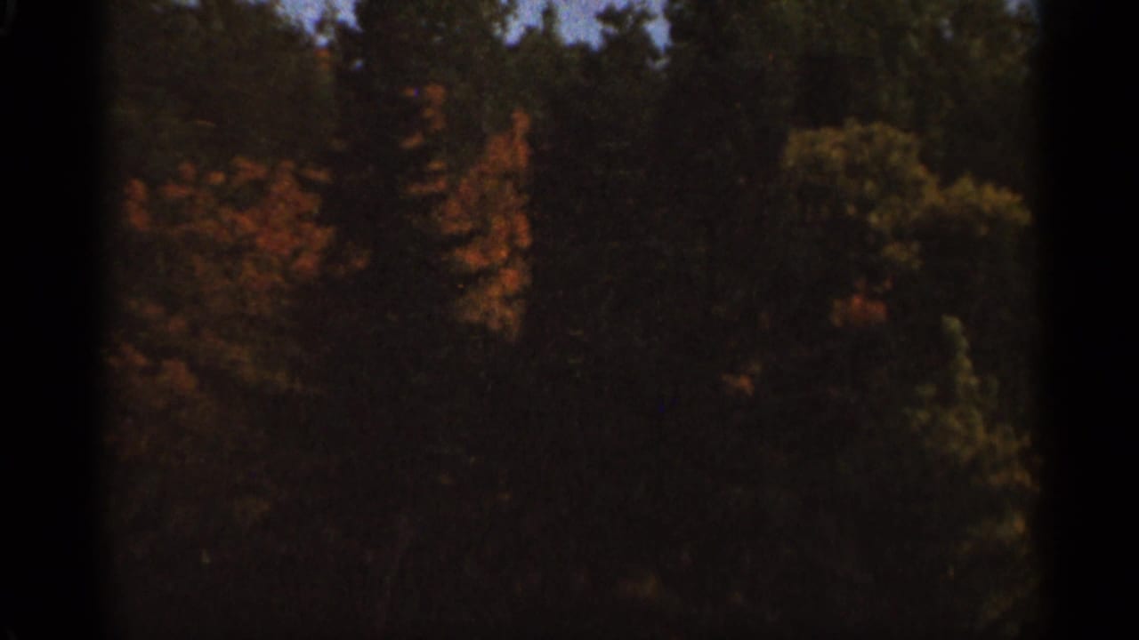 Dark treetops with orange autumn foliage under a shadowed 8mm film border.