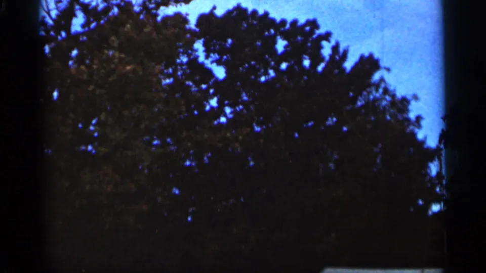 1965 Duluth home-movie view looking up at treetops silhouetted against blue sky and framed by 8mm edges.