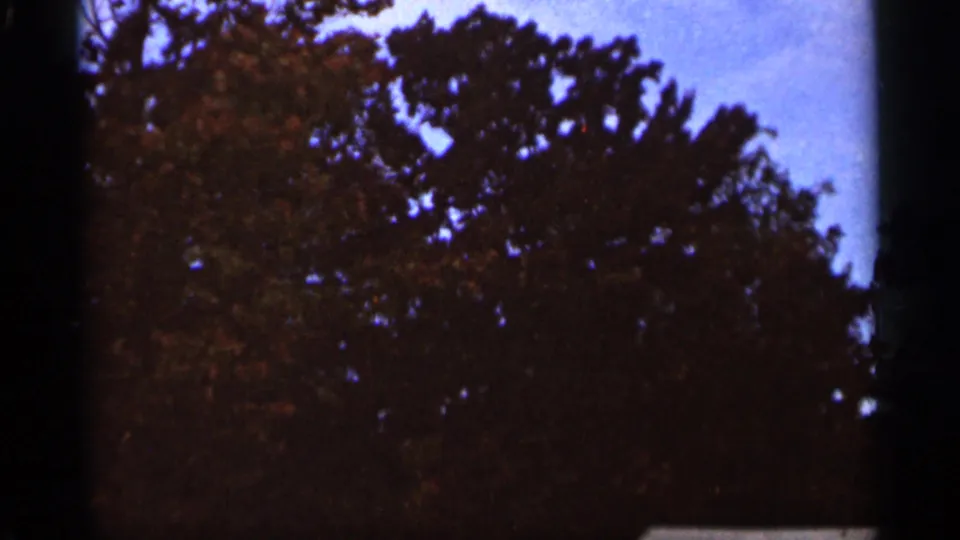 1965 Duluth frame showing autumn treetops against blue sky, with warm faded color and visible 8mm border shading.