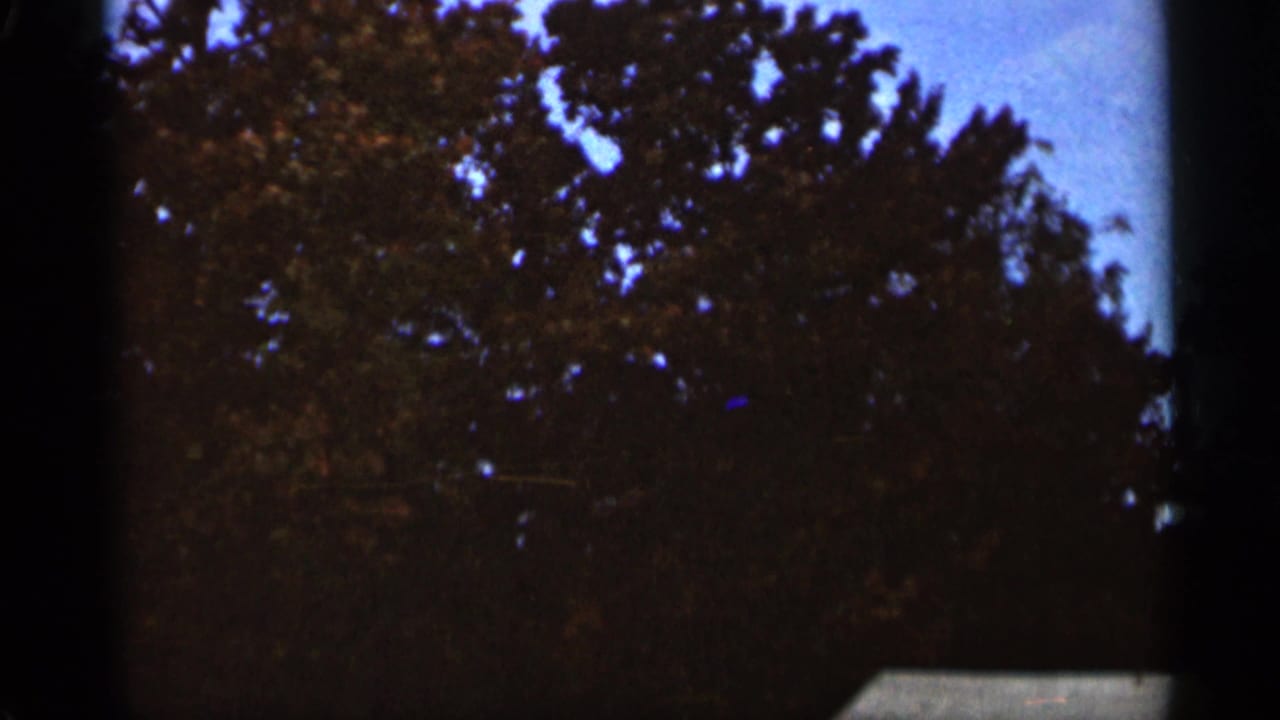 Low-angle 1965 Duluth view of dense autumn trees and sky, recorded with visible 8mm grain and dark frame-edge vignetting.
