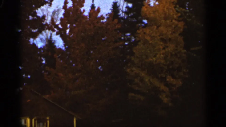 1965 Duluth autumn foliage with yellow deciduous leaves, darker red trees, evergreen branches, pale sky, and a partial roofline at the lower edge.
