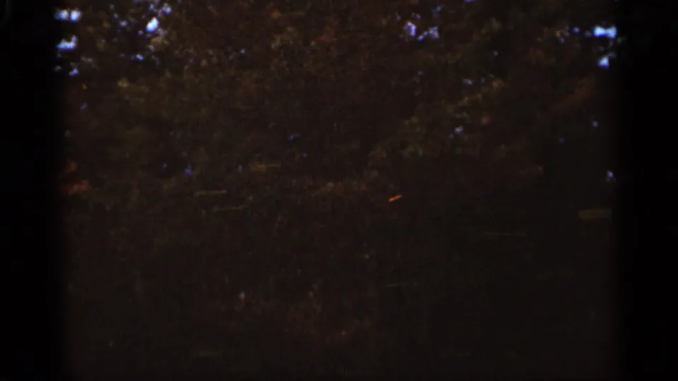 1965 Duluth 8mm frame showing a shadowed wooded area with scattered autumn leaves and small openings of sky.