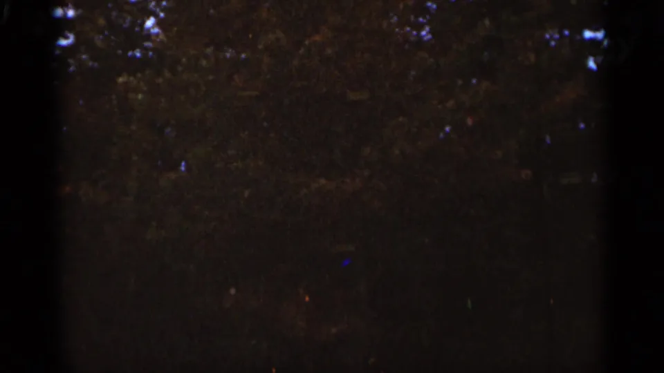 Dark 1965 Duluth home-movie frame showing dense tree cover, shadowed foliage, and faint blue highlights near the top edge.