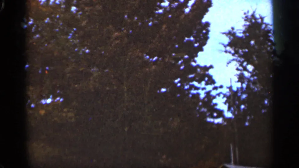 Handheld 1965 Duluth forest frame with dark treetops surrounding a pale blue sky opening and visible 8mm grain.