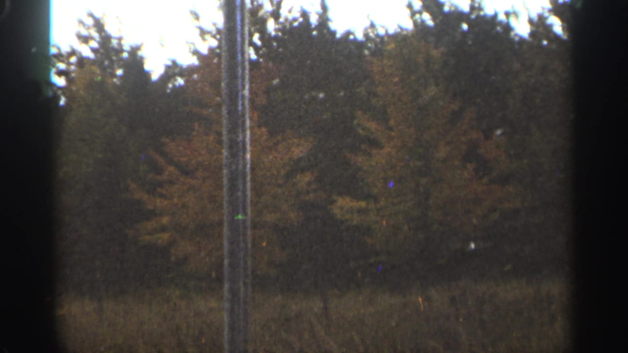 Forest edge and field seen behind a vertical foreground pole.