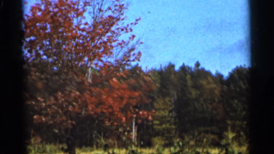 1965 Duluth-area 8mm frame with red fall foliage, dark trees behind it, and visible rounded film-frame borders.
