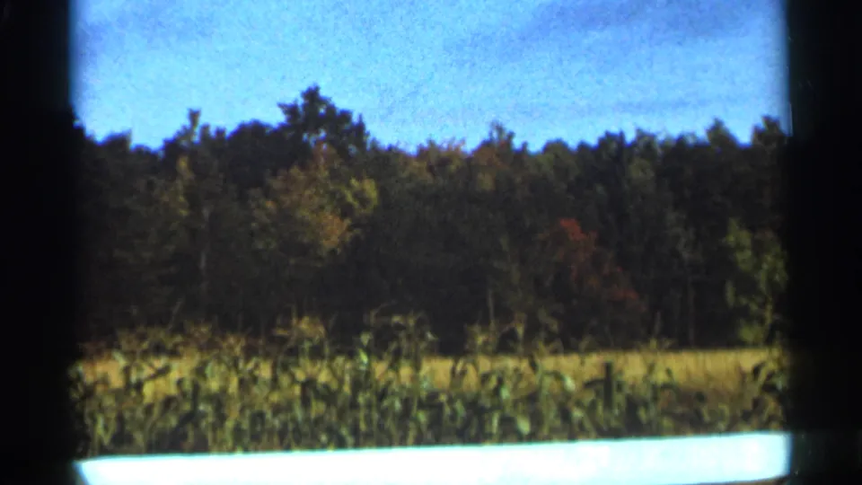 1965 home-movie view in Duluth, Minnesota, showing a wooded horizon, tall field growth, and soft blue sky.