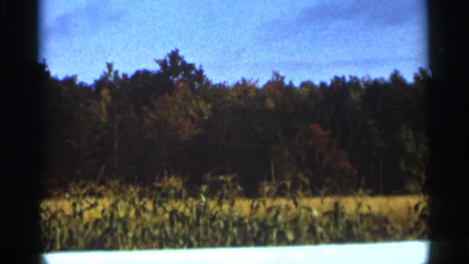 1965 Duluth 8mm frame with tall field plants, mixed autumn woods, and a pale blue sky at the end of the short landscape shot.