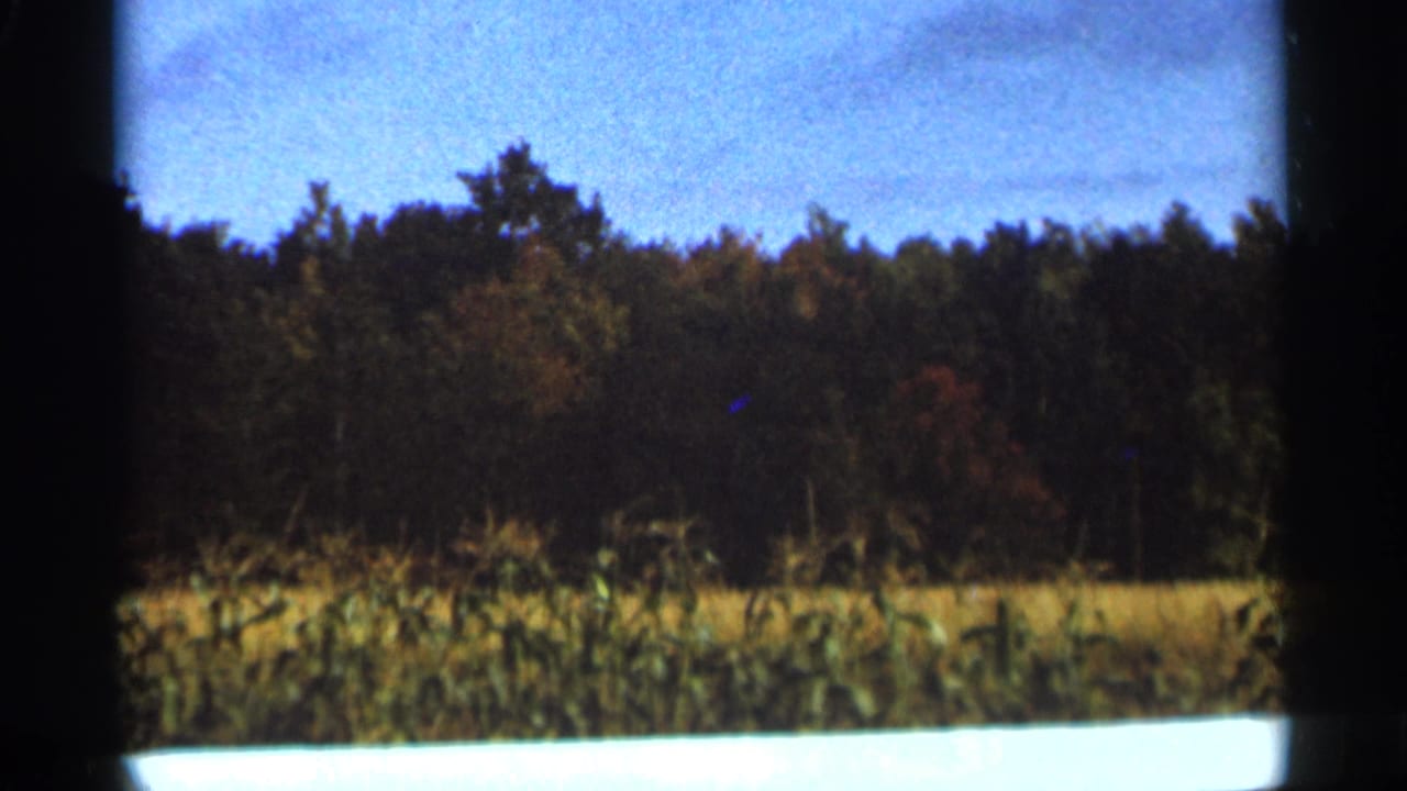 Cornfield and treeline under a blue sky with dark film borders.