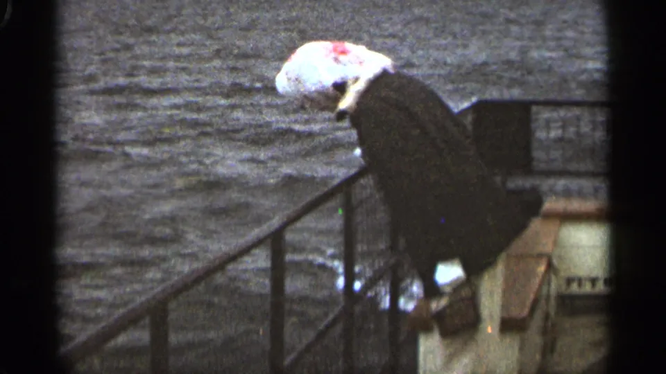 A woman in a dark coat and white headscarf leans by the railing as choppy water fills the frame in 1965 Duluth footage.