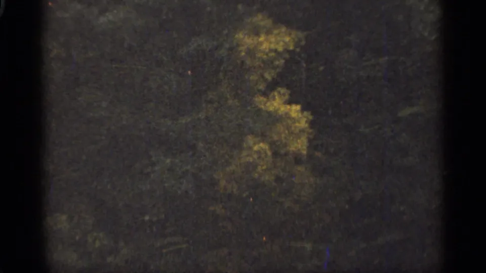 1965 Duluth home-movie frame showing a dim green forest with a patch of golden foliage and aged 8mm grain.