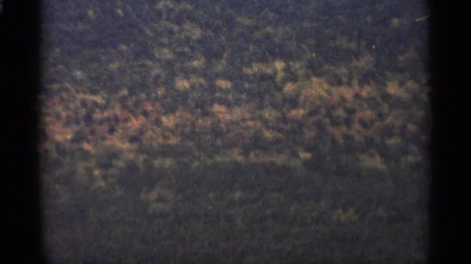 1965 Duluth 8mm frame with brown leaf litter and dense surrounding forest growth.