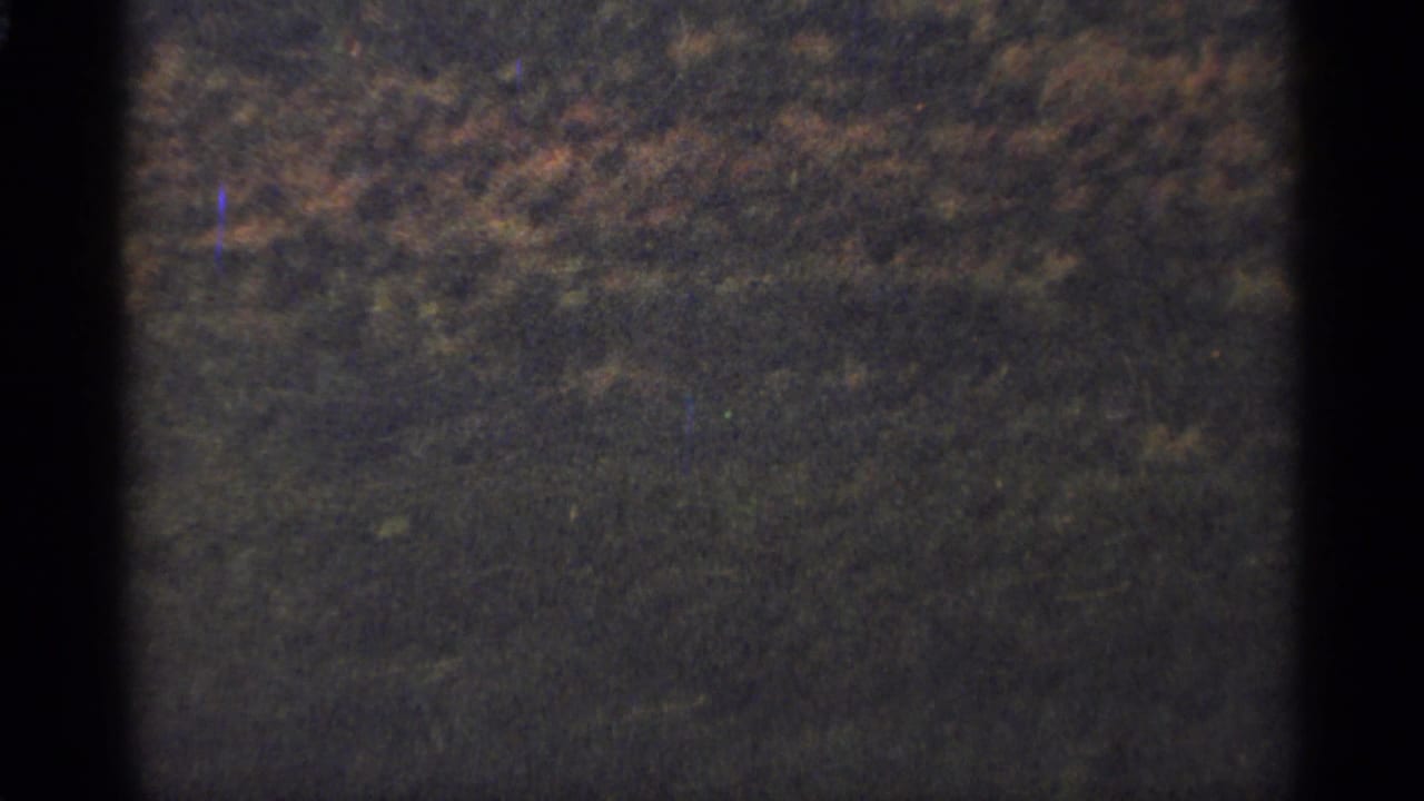 Dark grainy view of wooded or brush-covered terrain with black film edges.