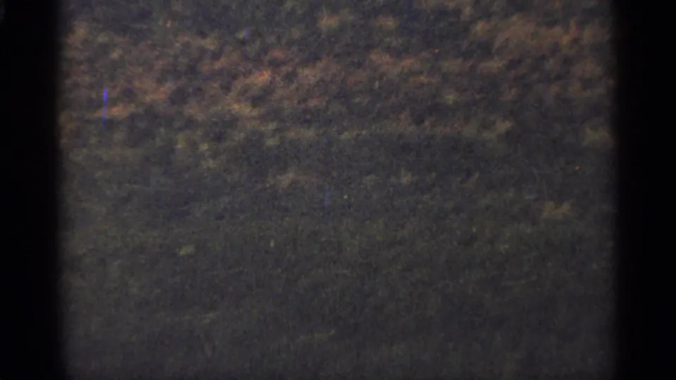 1965 8mm Duluth footage showing a dark, soft-focus patch of wooded or brush-covered terrain framed by black film gate edges.