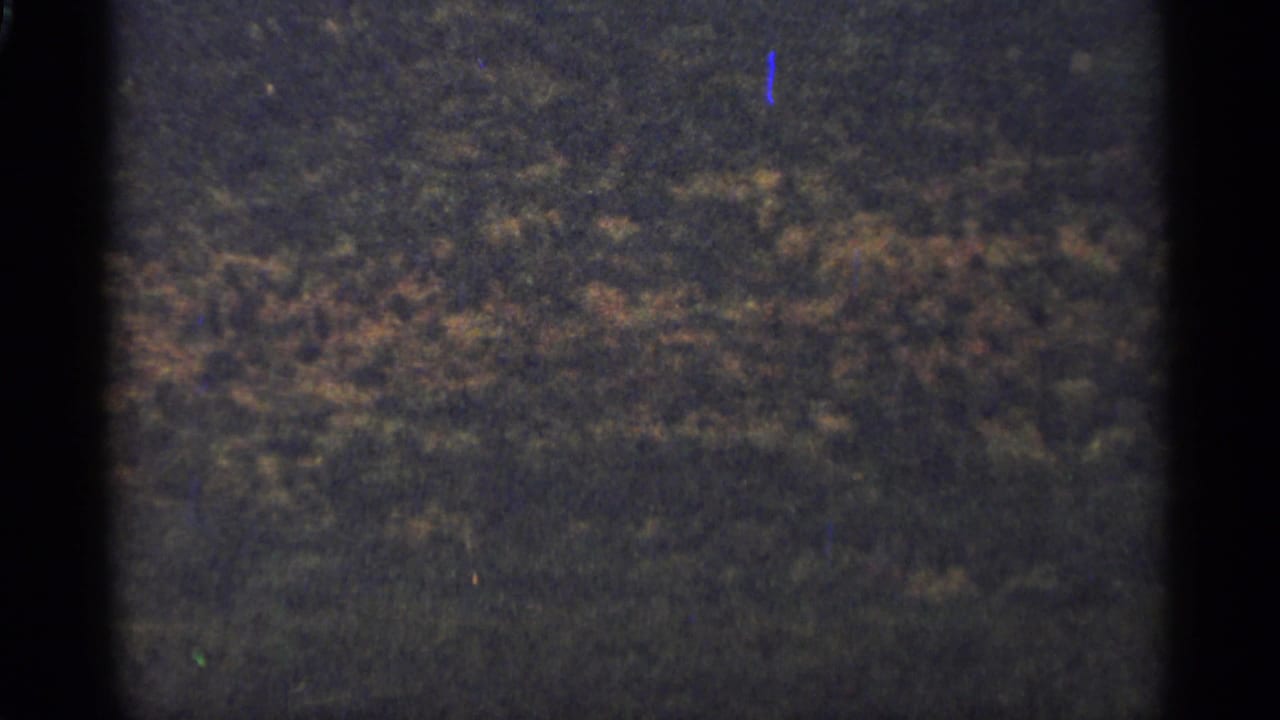 Dark textured hillside or treeline area with visible film grain and gate edge.
