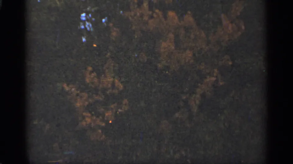 Duluth, Minnesota 1965 frame of dense autumn trees, subdued color, and visible 8mm film texture.