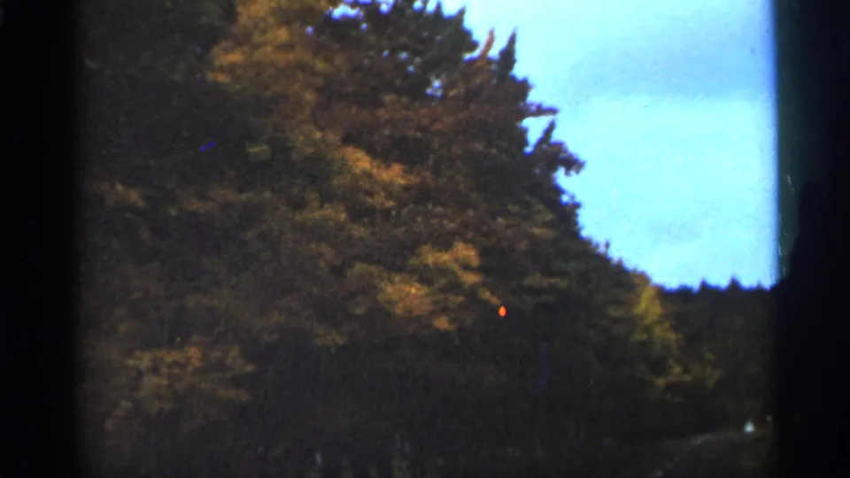 Duluth 1965 8mm frame showing treetops, golden autumn foliage, and a pale blue sky opening.