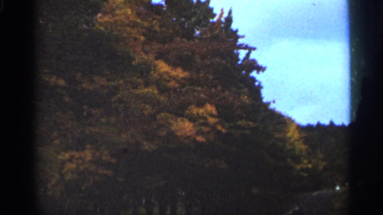 Autumn trees and blue sky seen through dark 8mm film borders.