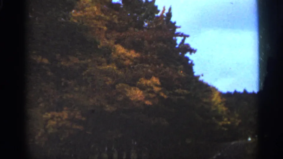 1965 Duluth-area 8mm frame showing wooded autumn foliage, blue sky, and dark rounded film edges.