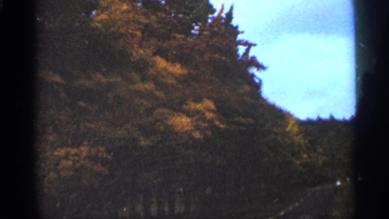 Duluth, Minnesota 1965 8mm frame of dense trees with yellow-orange foliage beside a pale blue sky.