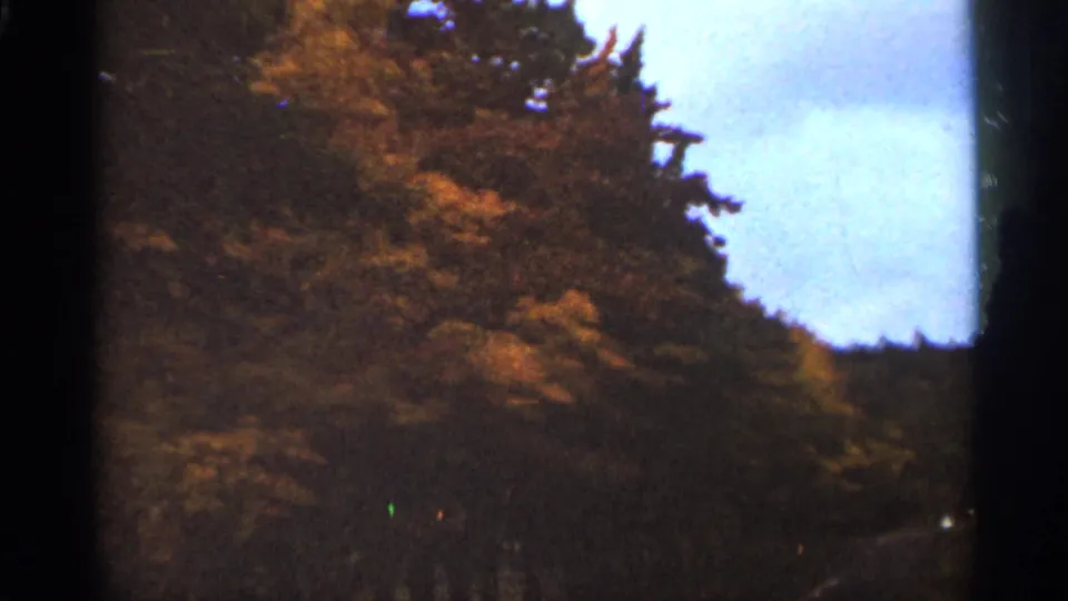 1965 8mm home-movie frame from Duluth showing dark roadside woods, orange leaves, and soft blue sky.