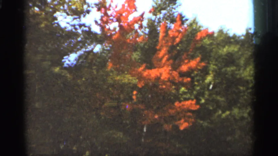 Duluth 1965 8mm frame with a vivid red autumn tree among green foliage under bright sky.