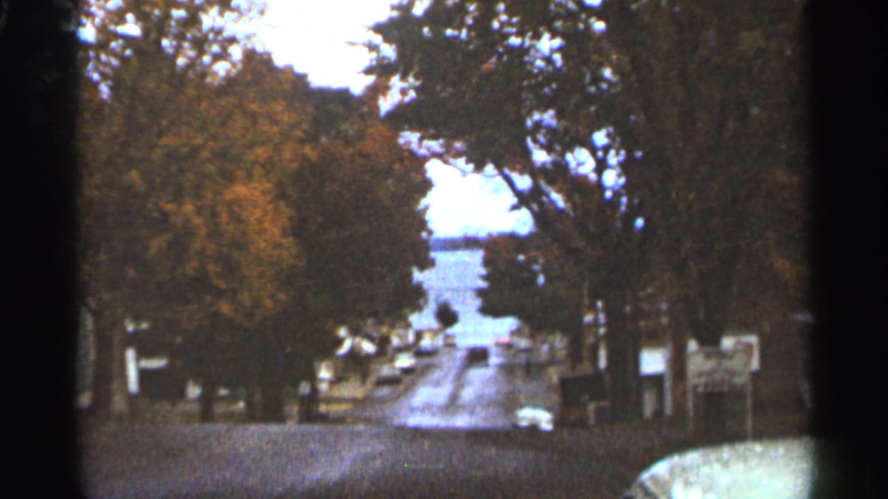 Tree-lined residential road with autumn foliage and distant cars.