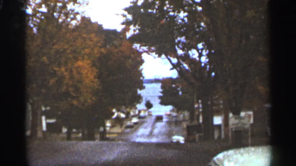 A quiet Duluth residential road appears between trees with fall-colored leaves and cars visible in the distance.