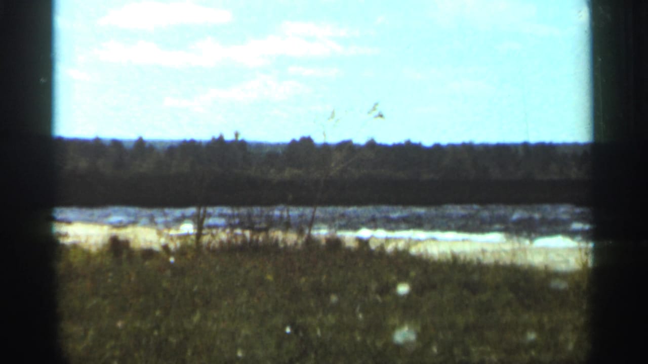A 1965 Duluth shoreline view shows grass, choppy lake water, pale sky, and a distant treeline.