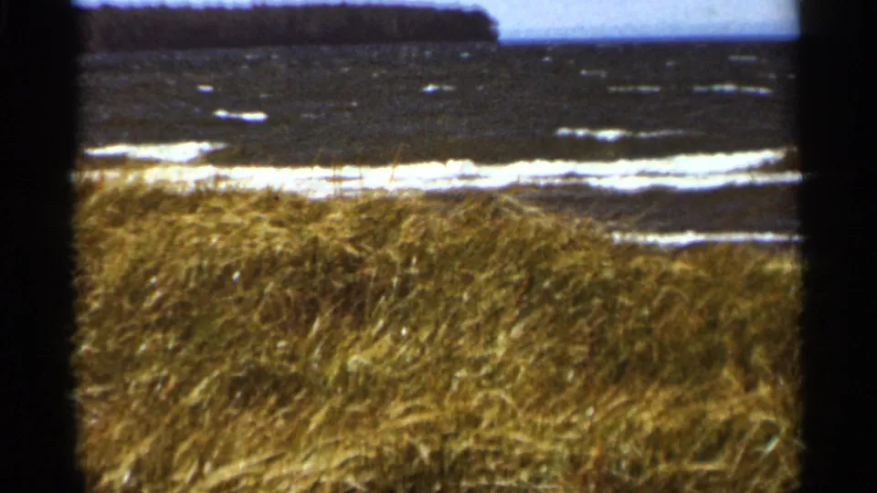 1965 8mm frame showing wind-bent grass along a rough shoreline, with dark water, white wave streaks, and a distant wooded bank.